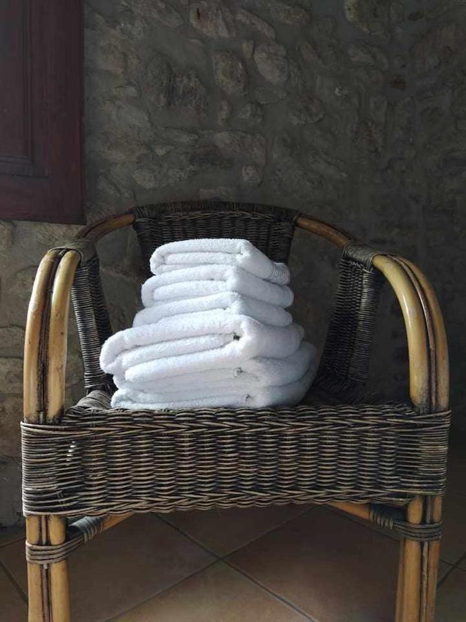 Mas Planella Casa Rural Mieres  Exterior photo